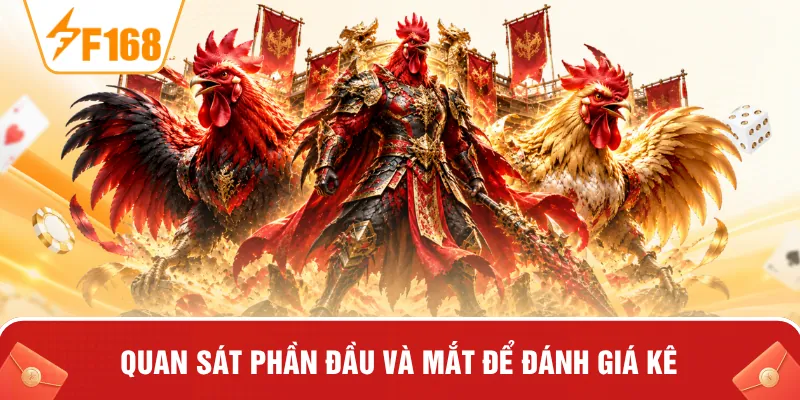 Quan sát phần đầu và mắt để đánh giá kê