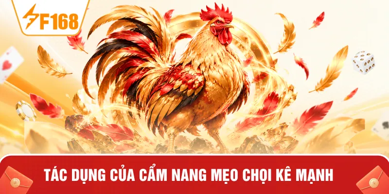 Tác dụng của cẩm nang mẹo chọi kê mạnh
